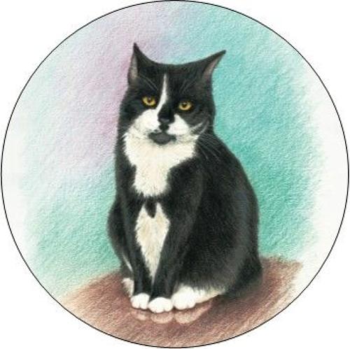 Pill Box - Black & White Cat