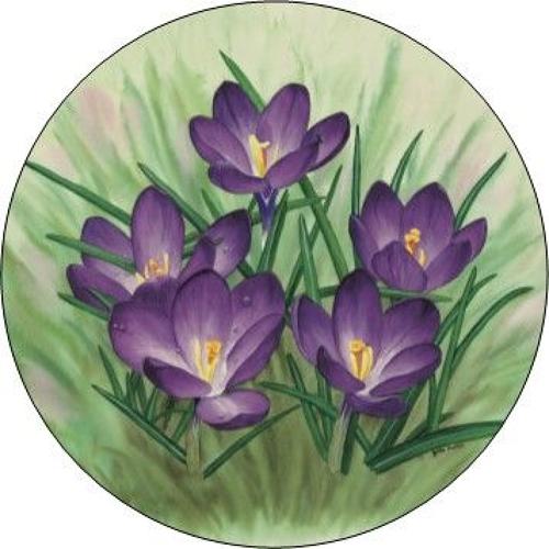 Pill Box - Crocus