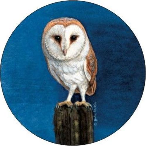 Pill Box - Barn Owl