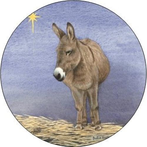Pill Box - Donkey
