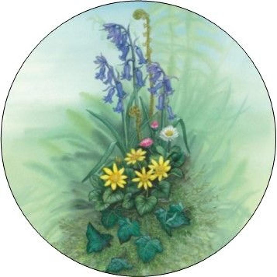 Compact Pocket Mirror - Bluebell