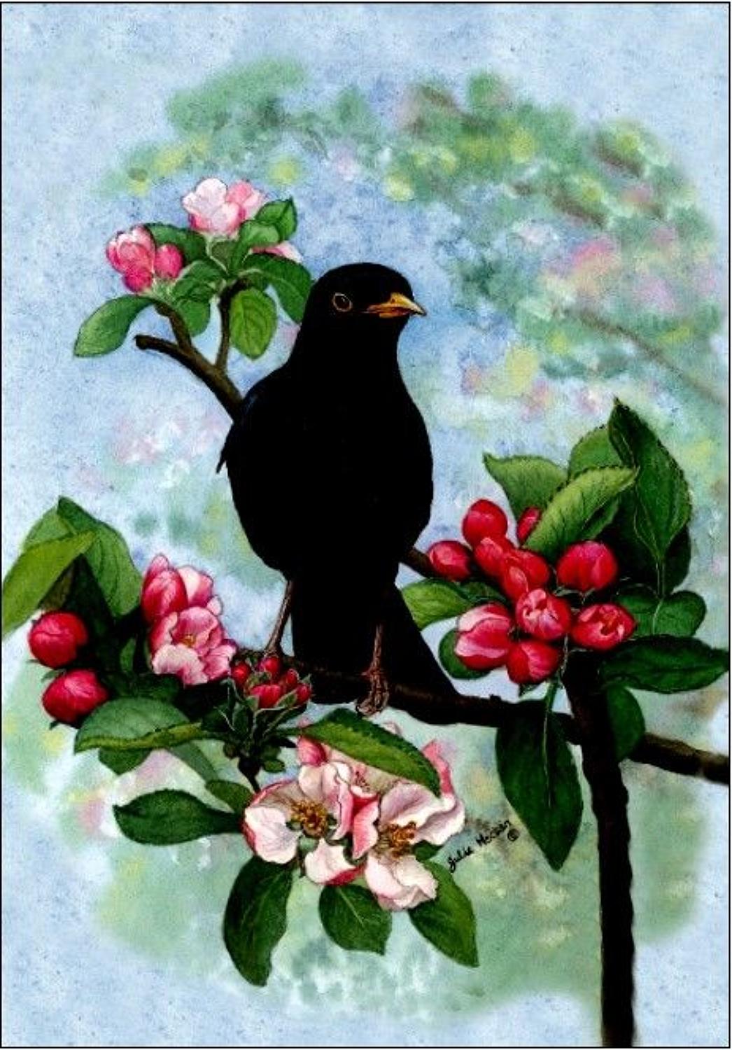 Pen - Blackbird