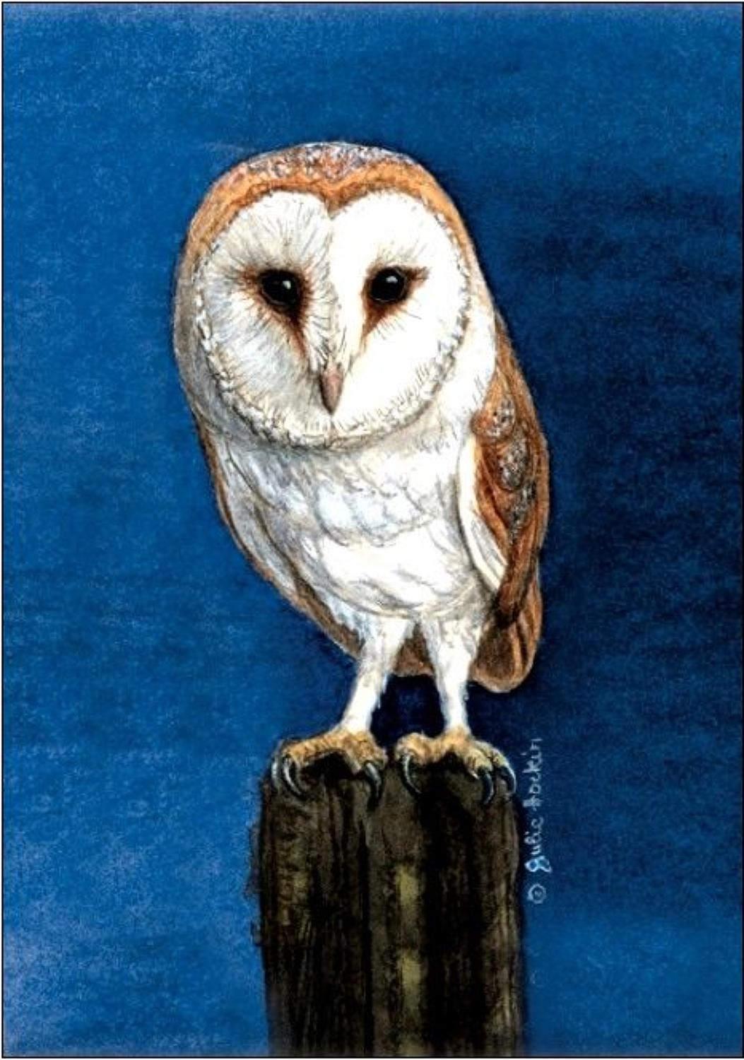 Pen - Barn Owl