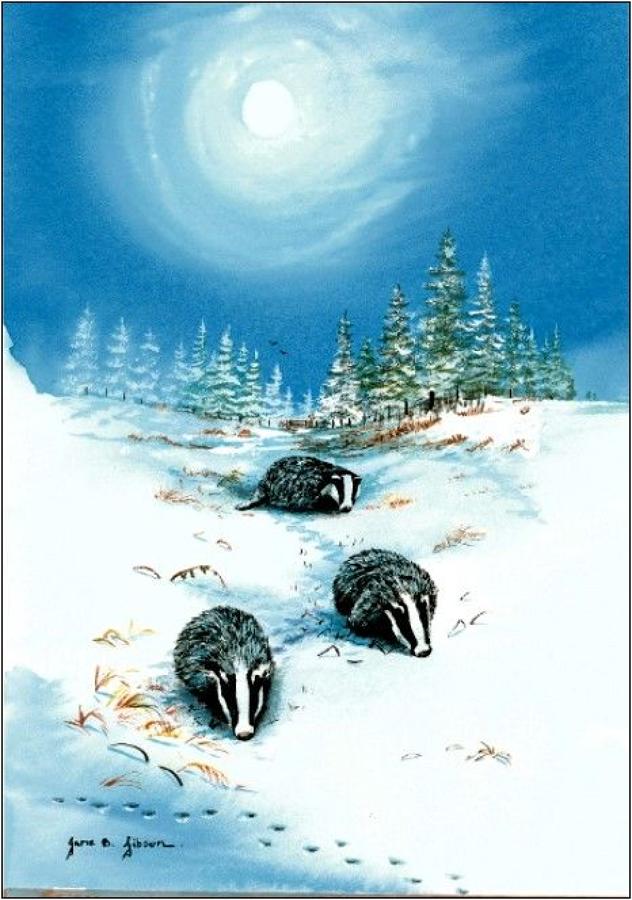 PEn - Badgers in the Snow