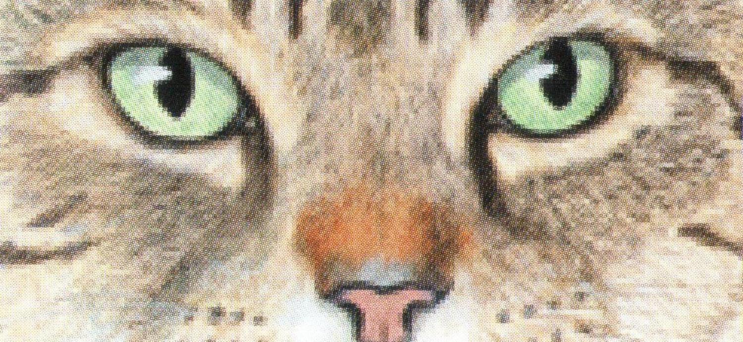 Magnetic Letter Opener  - Cats Eyes