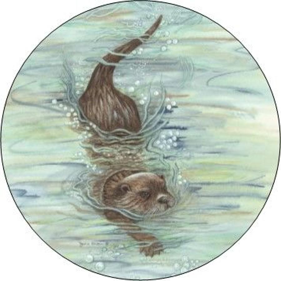 Compact Pocket Mirror - Otter