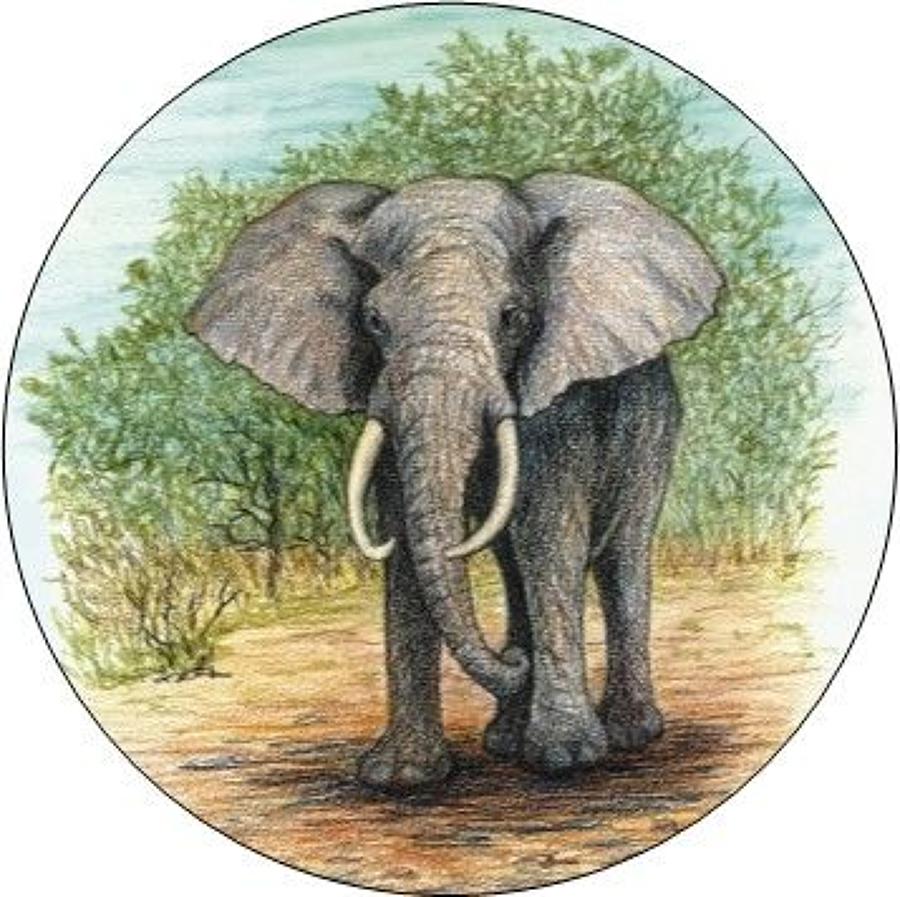 Compact Pocket Mirror - Elephant