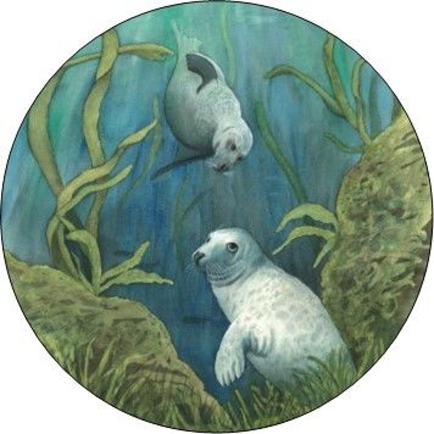 Compact Pocket Mirror - Grey Seals