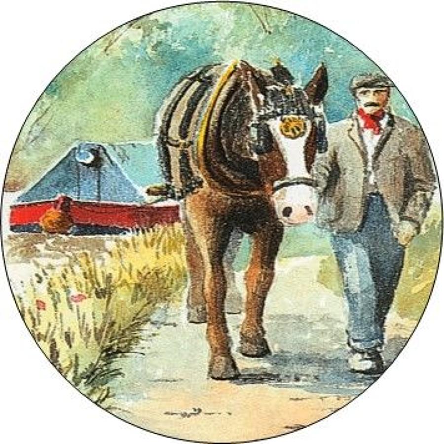 Compact Pocket Mirror - One Horse