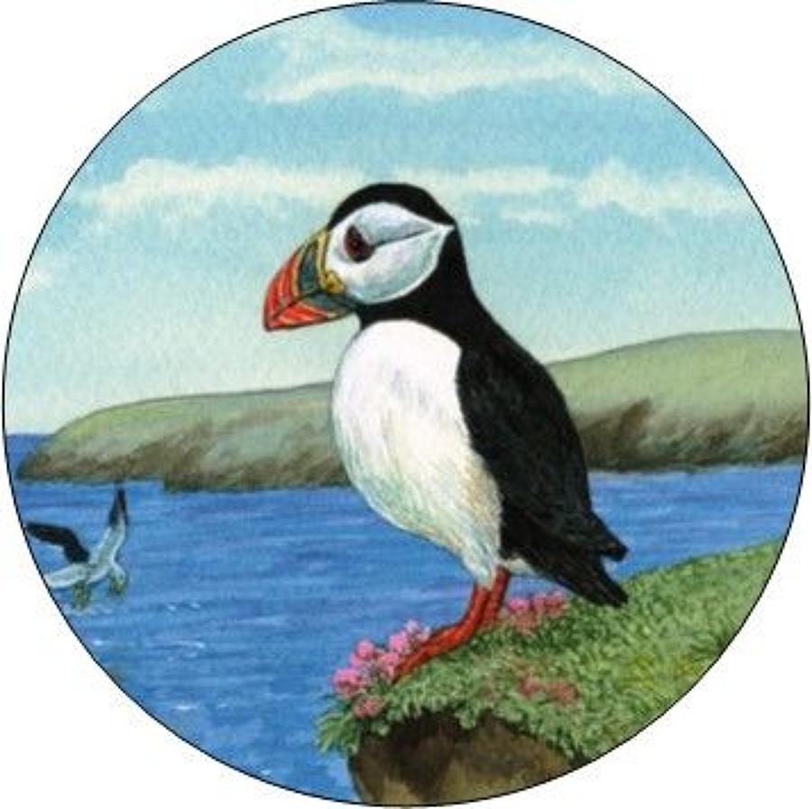 Compact Pocket Mirror - Puffin