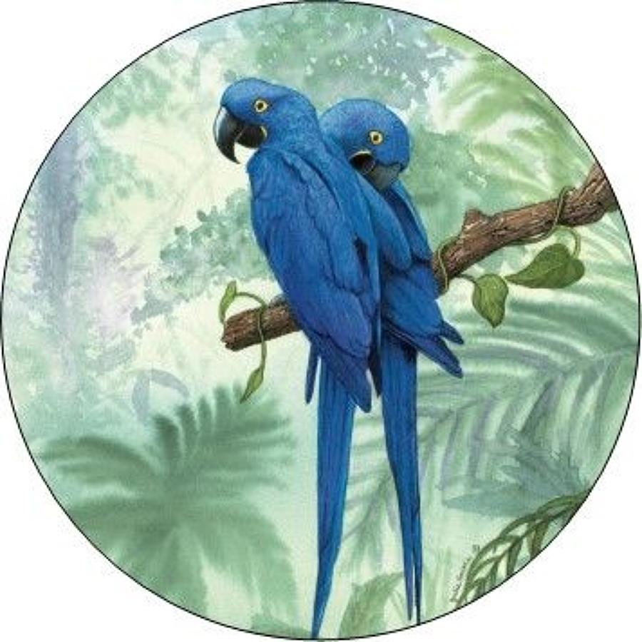 Compact Pocket Mirror - Hyacinth Macaw