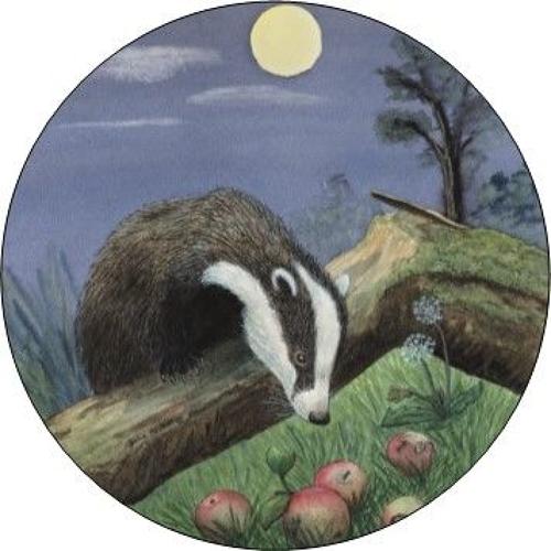 Compact Pocket Mirror - Badger