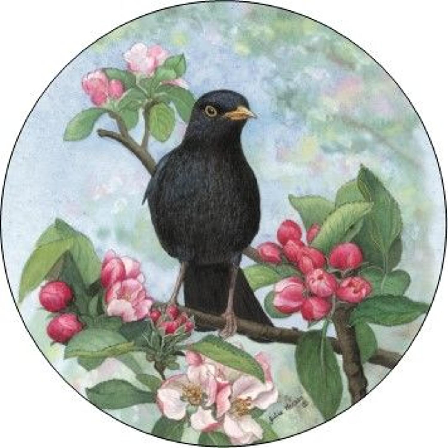 Compact Pocket Mirror - Blackbird