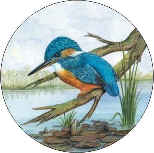 Compact Pocket Mirror - Kingfisher