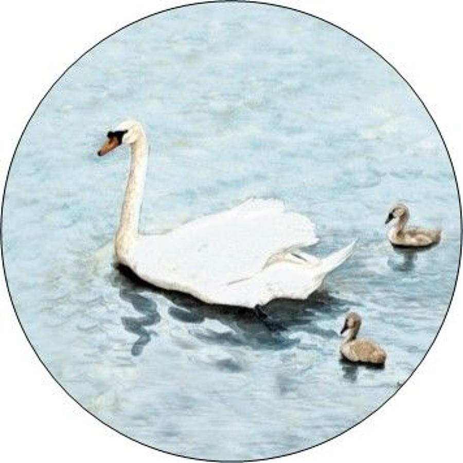 Compact Pocket Mirror - Swans