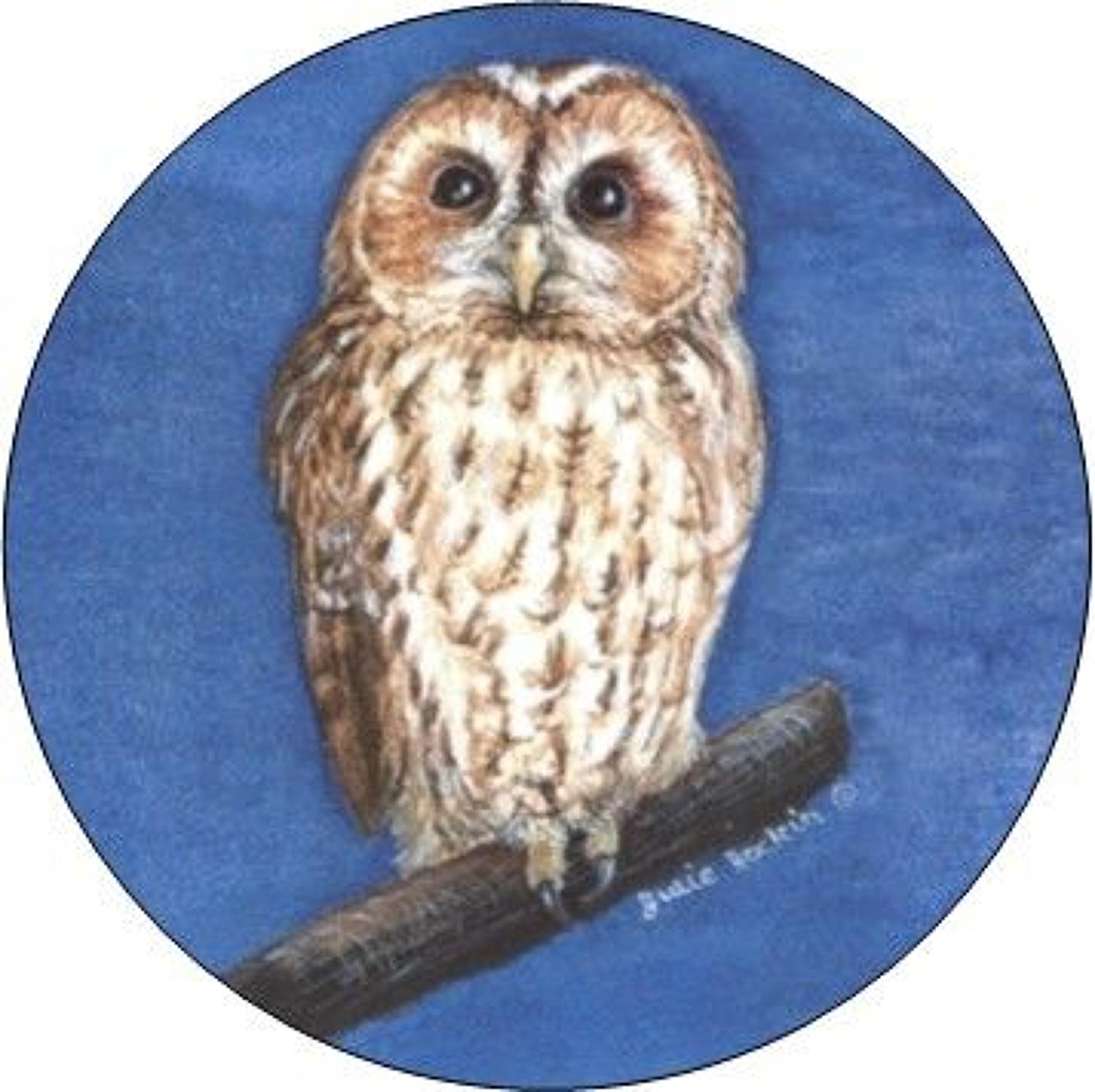 Compact Pocket Mirror - Tawny Owl
