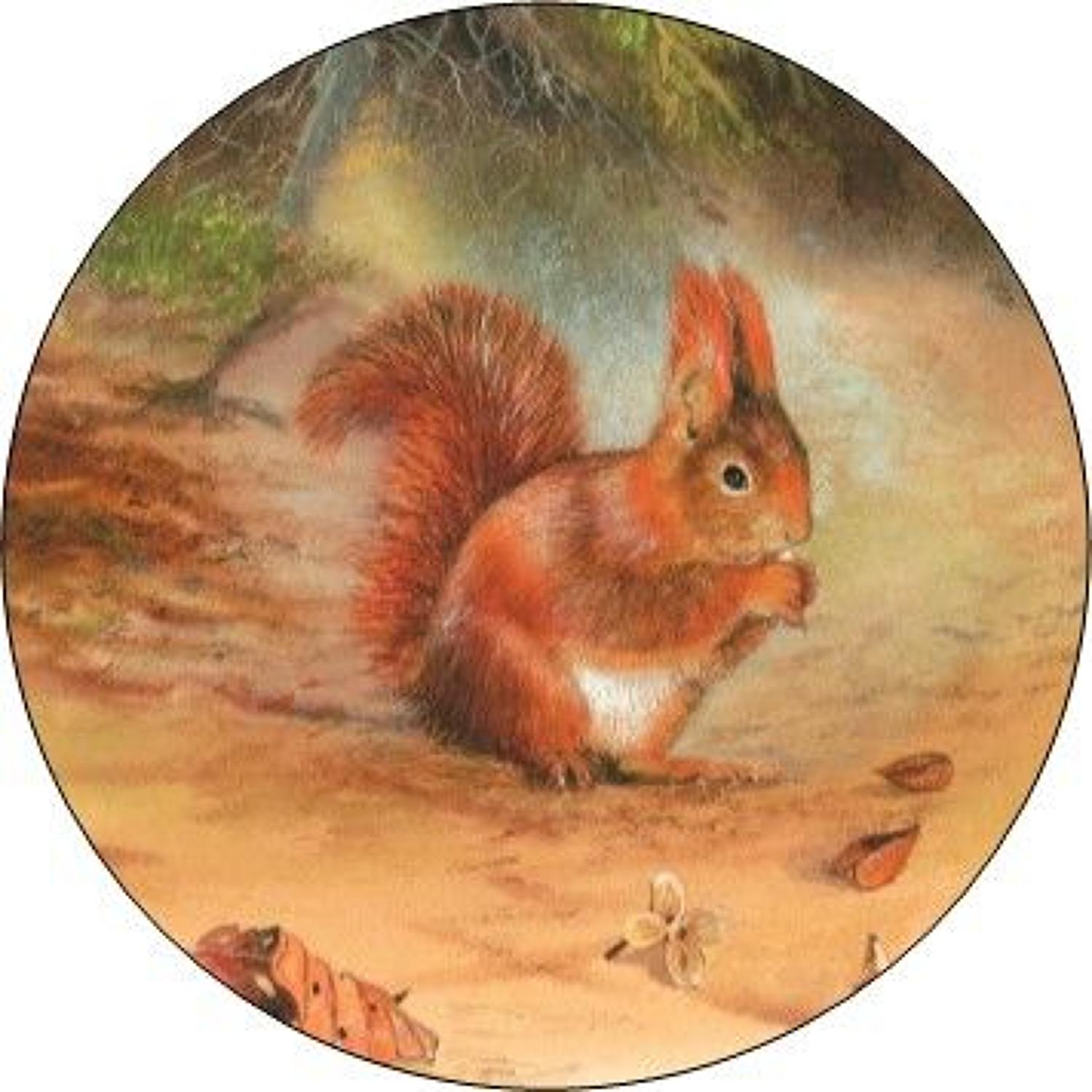 Compact Pocket Mirror - Red Squirrel