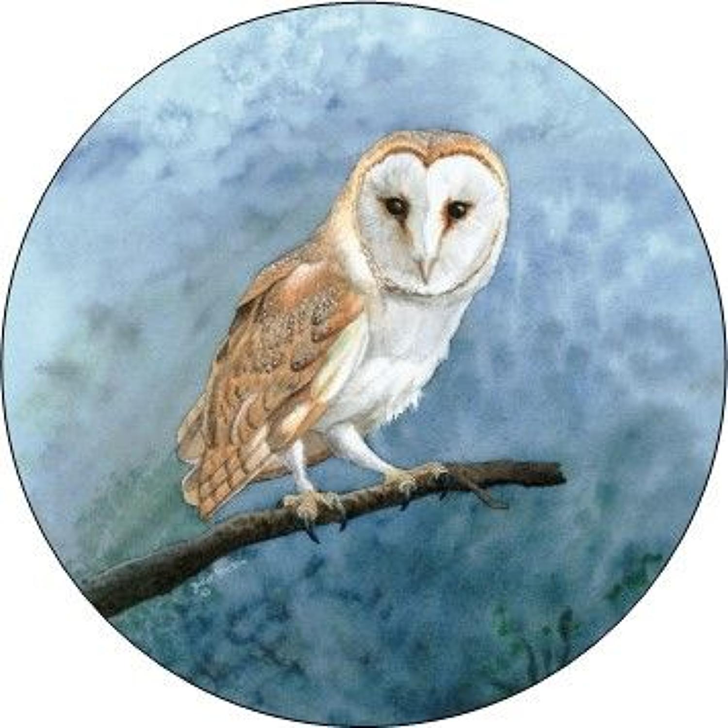 Compact Pocket Mirror - Barn Owl