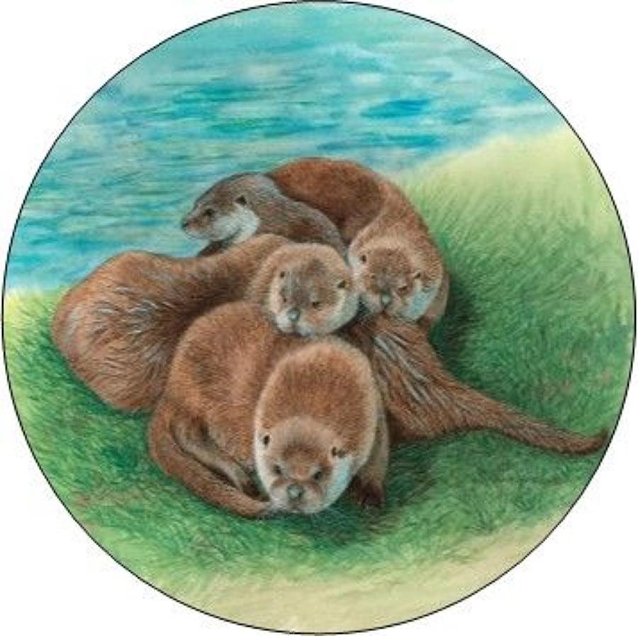 Compact Pocket Mirror - Tangle of Otters