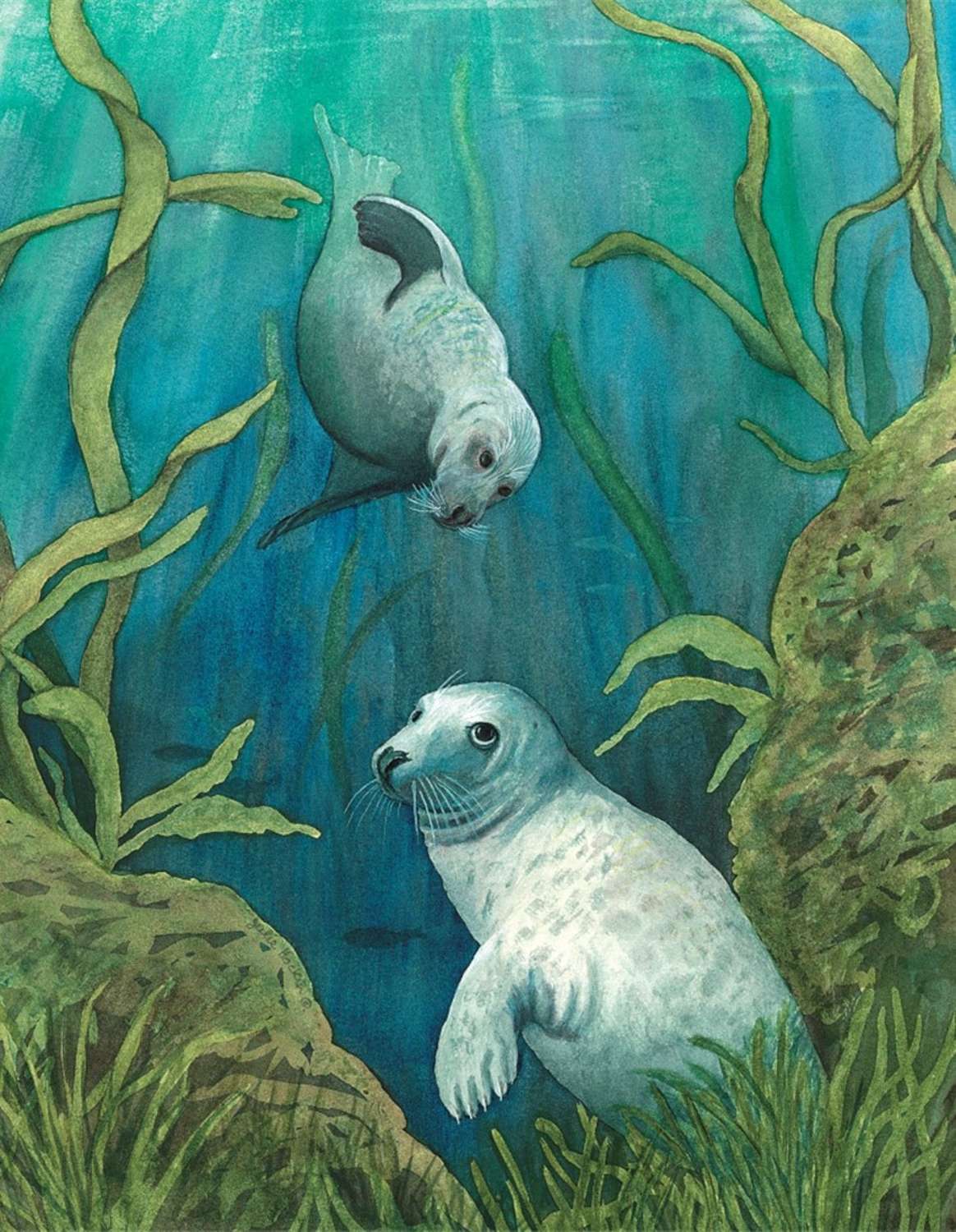 Magnetic Fridge Pad - Grey Seals