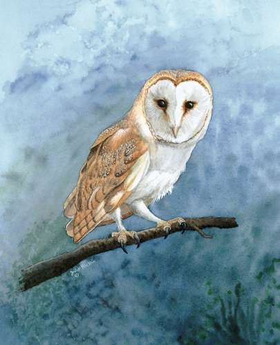 Shopping Bag - Barn Owl