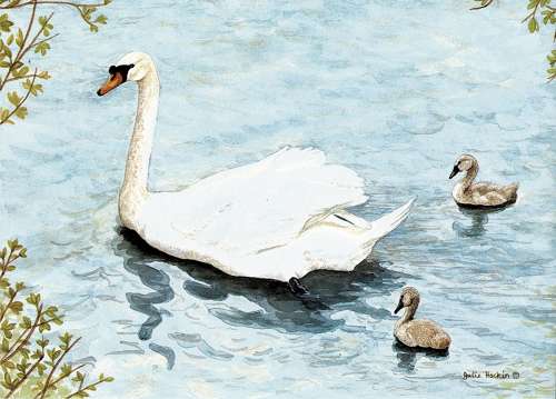 Shopping Bag - Swan & Cygnets
