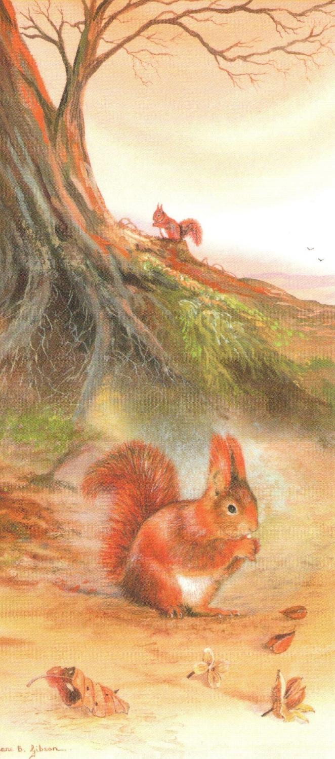 Magnetic Bookmark - Red Squirrel