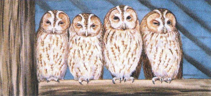 Magnetic Letter Opener - Rescue Owls