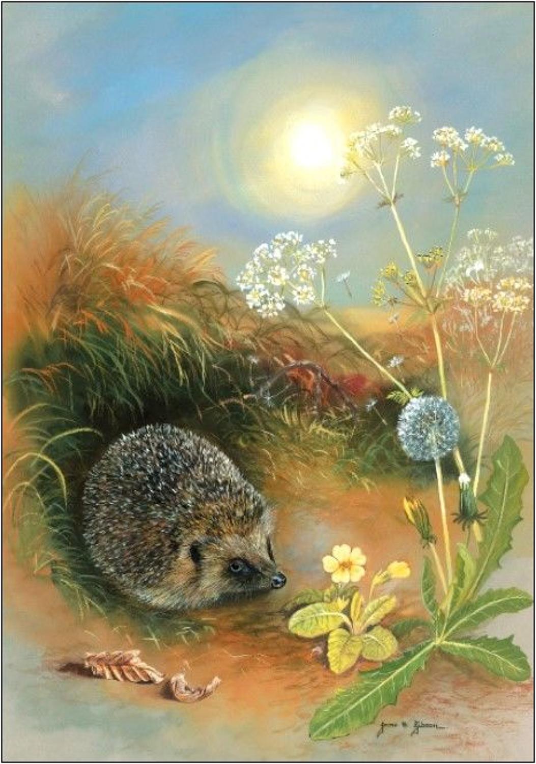 Pen - Hedgehog & Dandelions