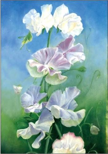 Pen - Sweet Peas