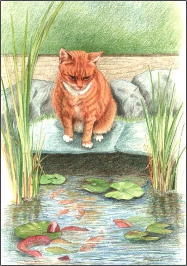Pen - Ginger Cat