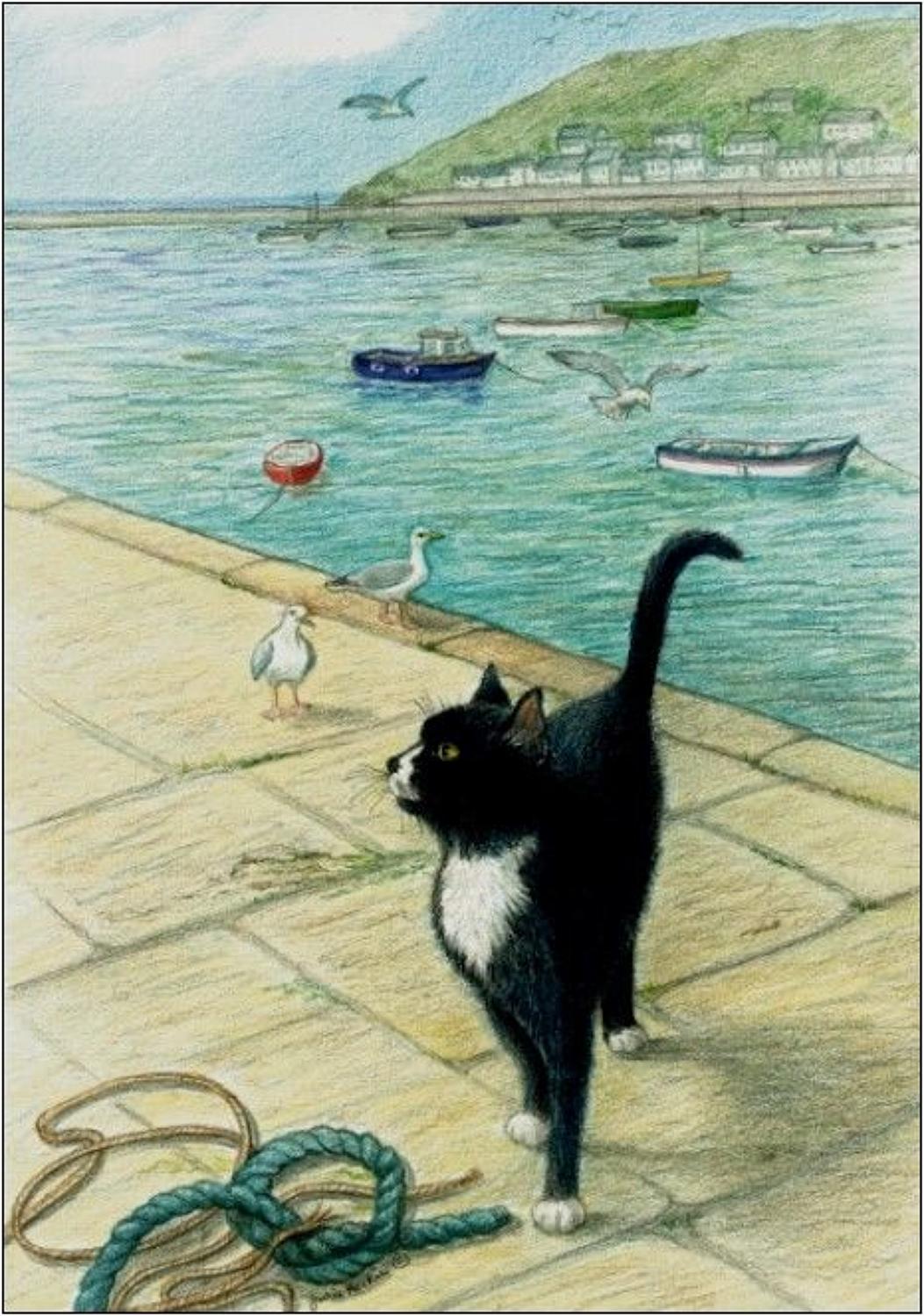 Pen - Cat on the Quay