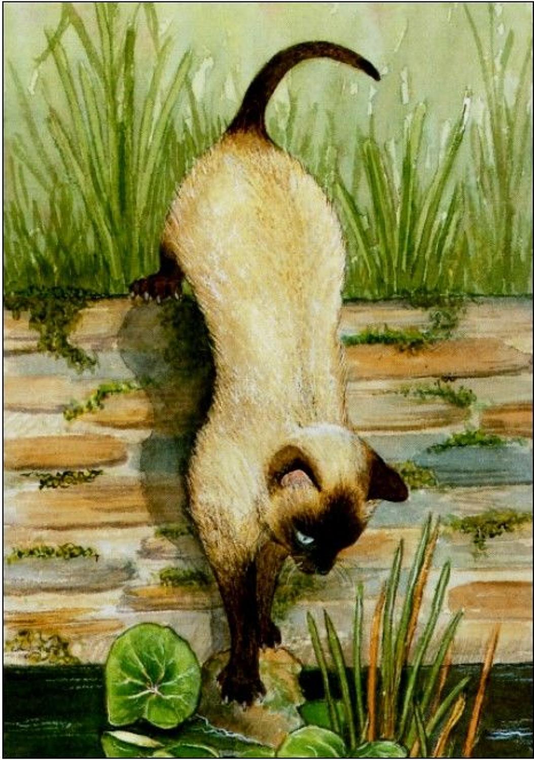 Pen - Siamese Cat