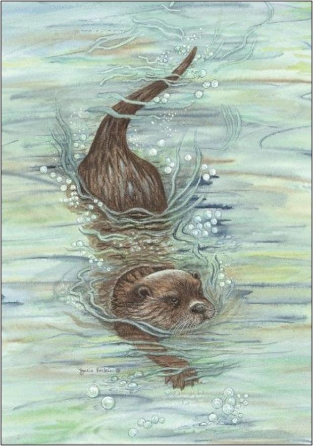 Pen - Otter