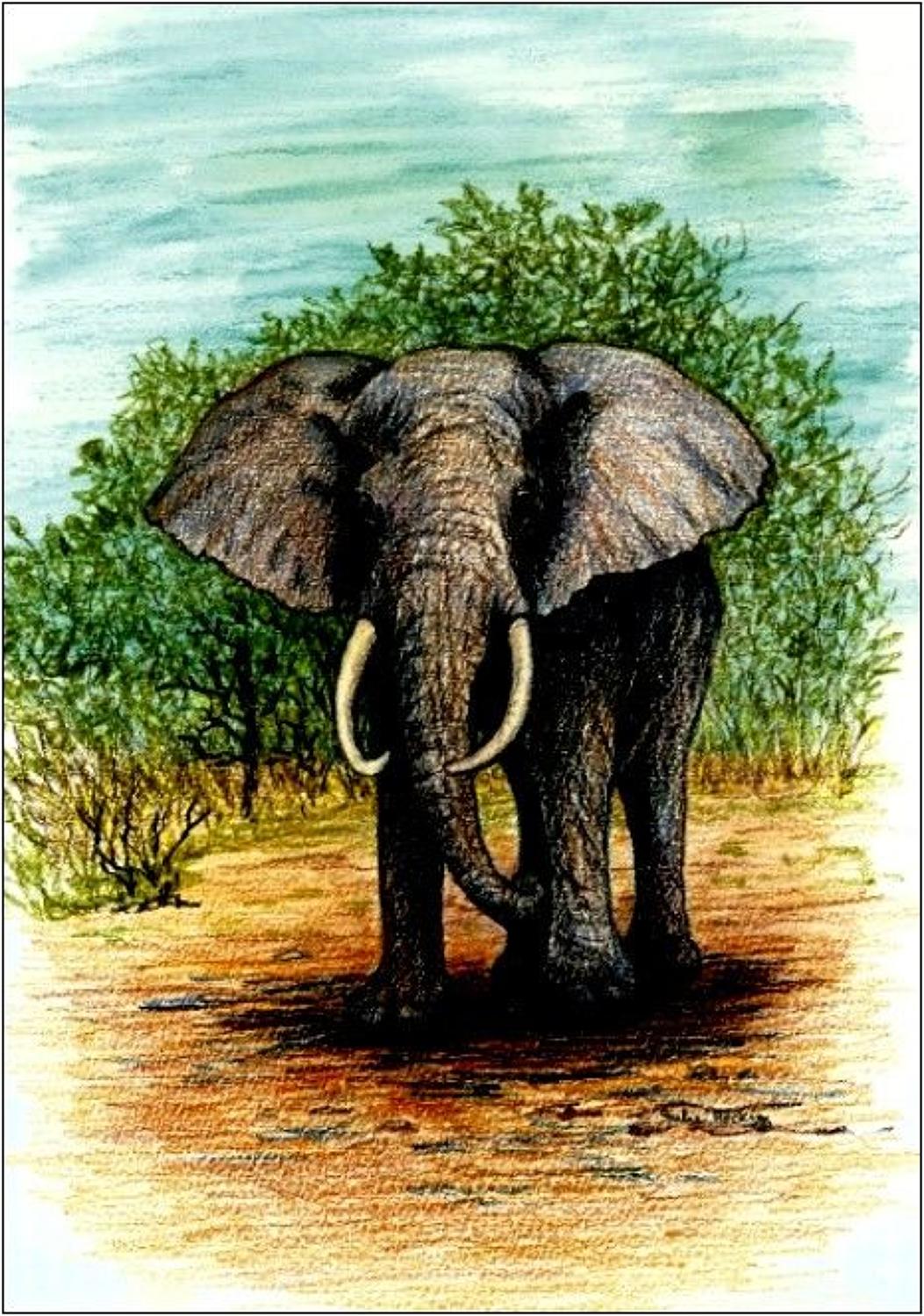 Pen - Elephant