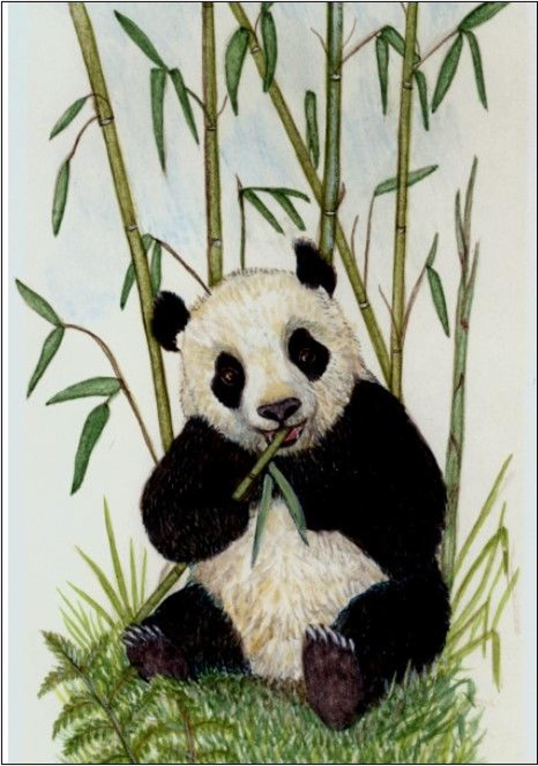 Pen - Panda