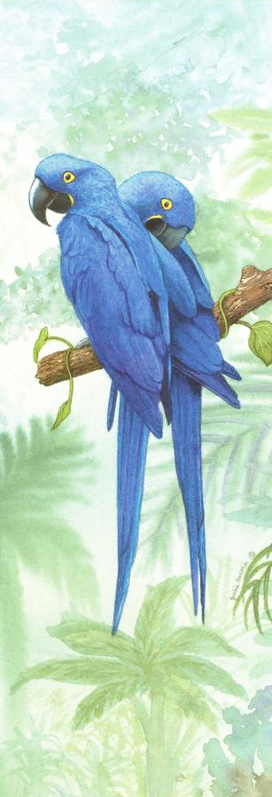 Tall Pad - Hyacinth Macaw
