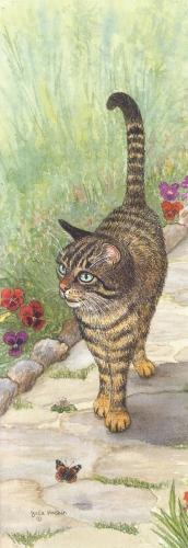 Tall Pad - Tabby Cat
