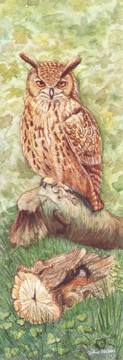 Tall Pad - Eagle Owl