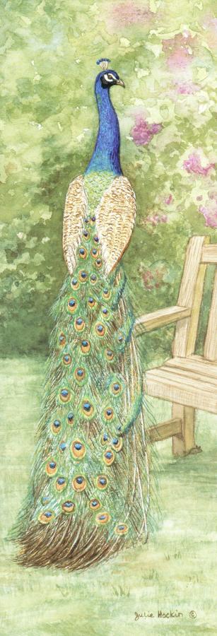 Tall Pad - Peacock