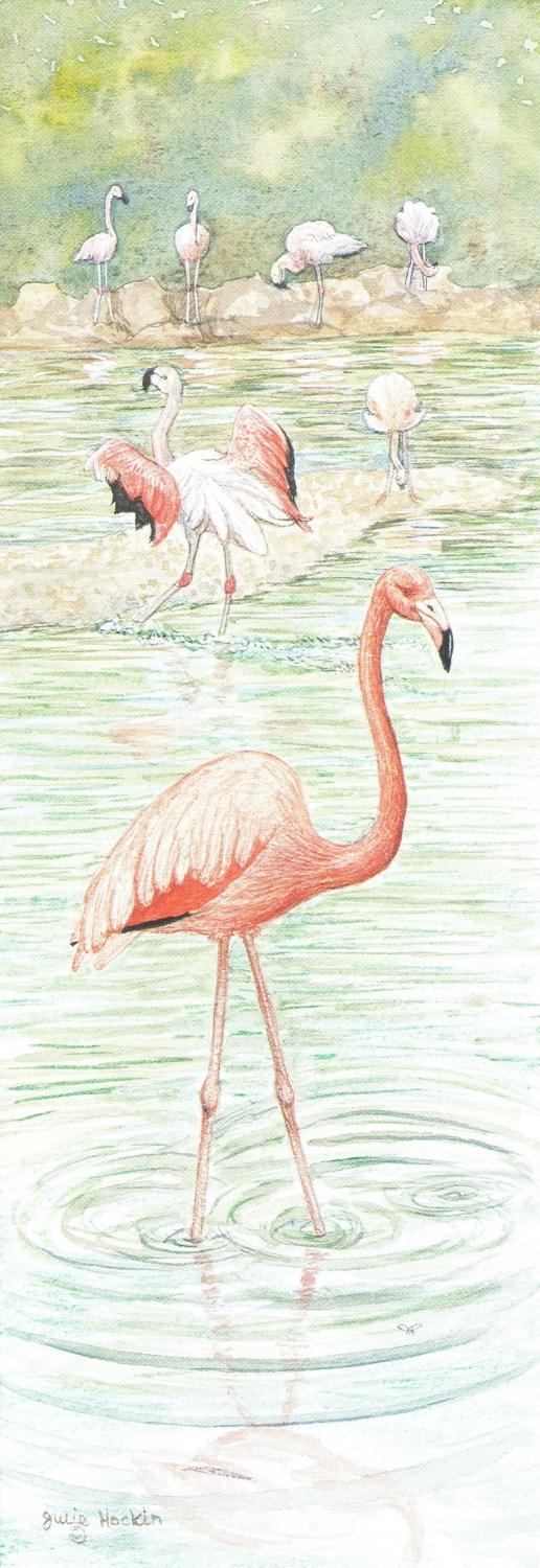 Tall Pad - Flamingo