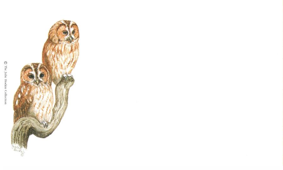 Correspondence Card - Tawny Owls