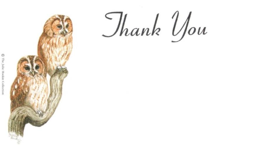 Thank You Cards - Tawny Owls