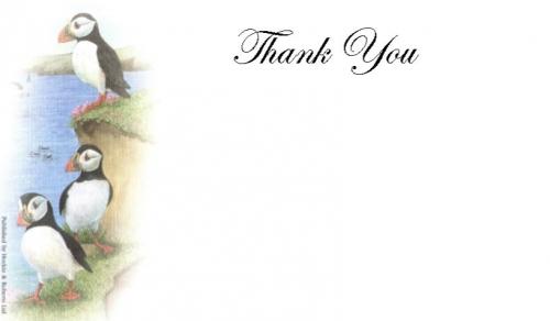 Thank You Cards - Puffins