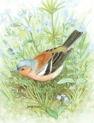Magnetic Fridge Pad - Chaffinch