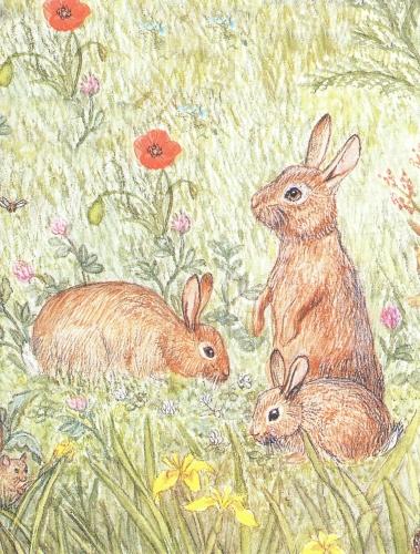 Magnetic Fridge Pad - Rabbits
