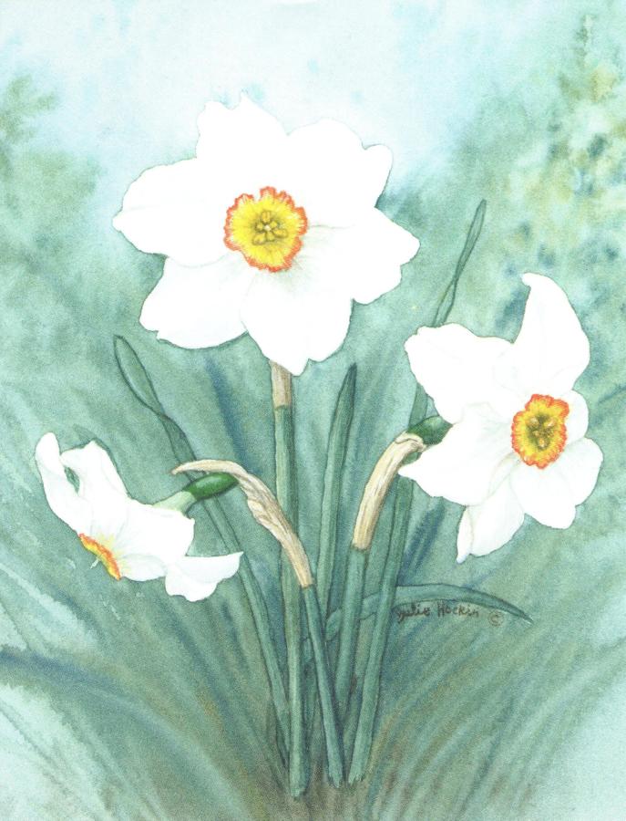 Magnetic Fridge Pad - Narcissus