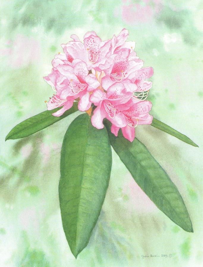 Magnetic Fridge Pad - Rhododendron