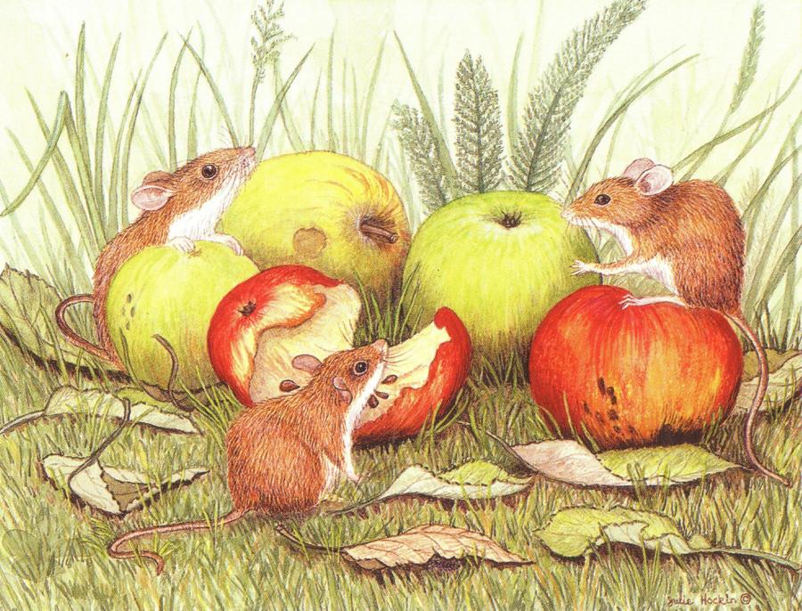 Magnetic Fridge Pad - Field Mice & Apples