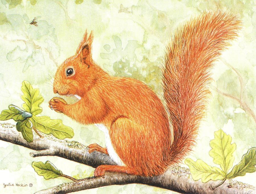 Magnetic Fridge Pad - Red Squirrel on Branch